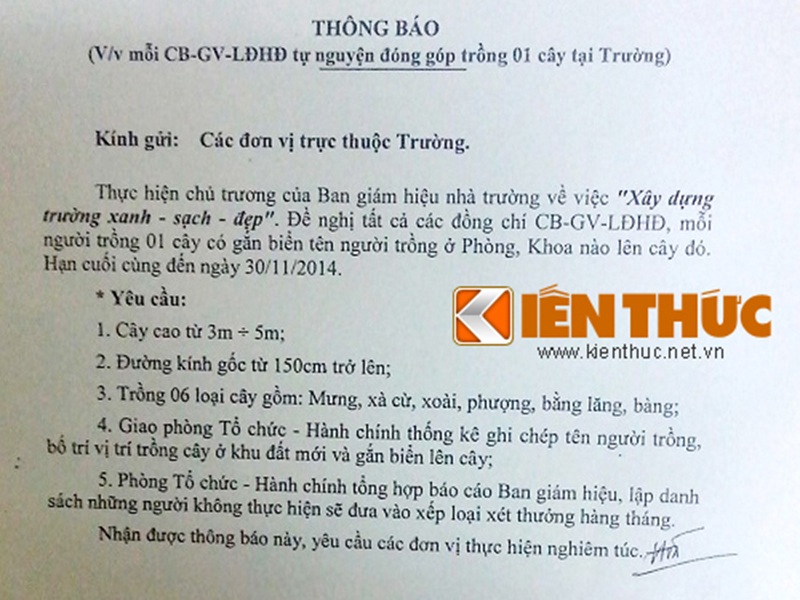 Giảng viên ức phát khóc vì bị ép... trồng cây siêu cổ thụ